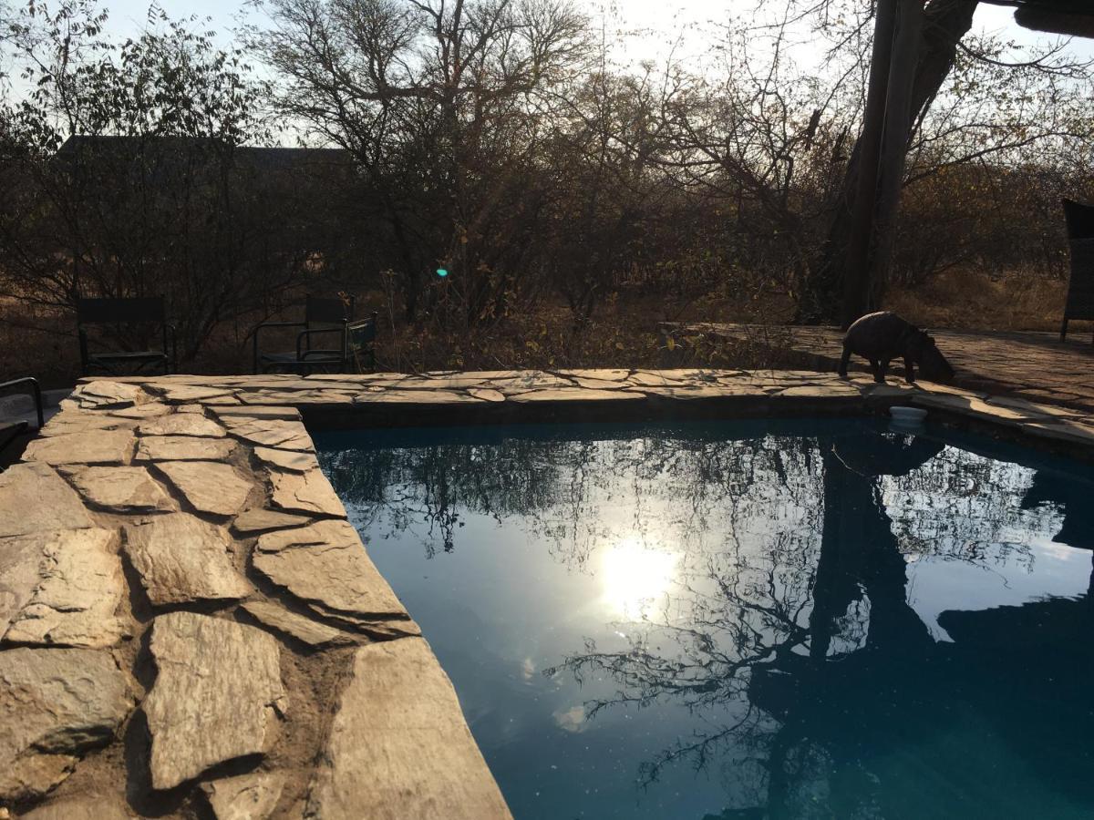 Giraffe Lodge Hoedspruit Exterior foto